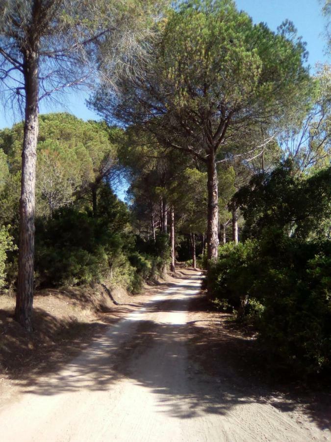 Appartamento Vacanze Sardegna Синискола Экстерьер фото